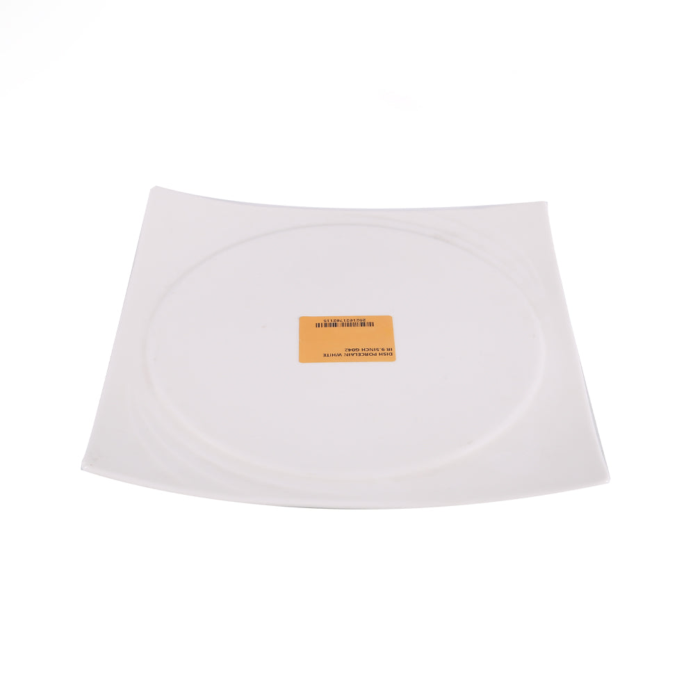 DISH PORCELAIN WHITE IR 9.5INCH G042