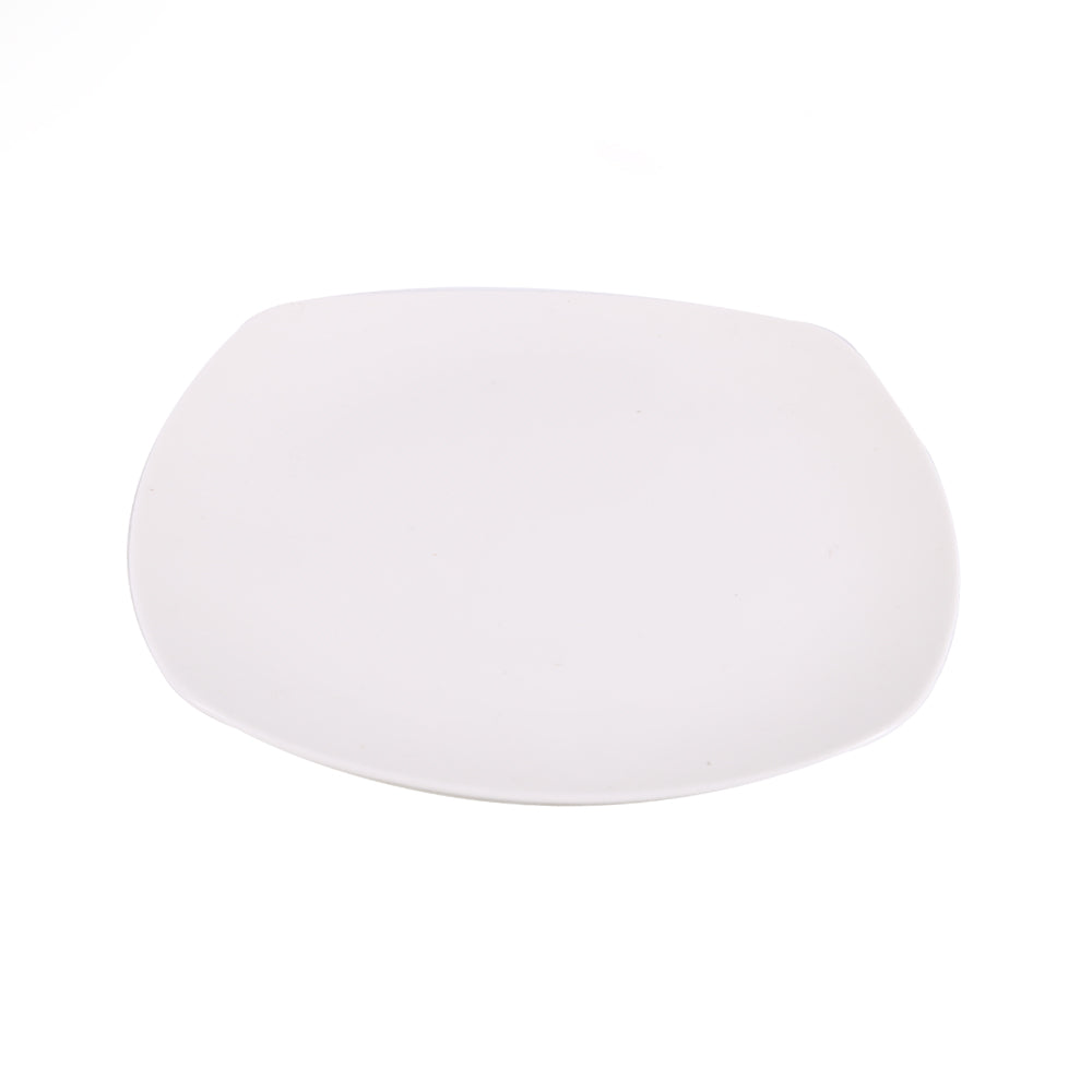 DISH PORCELAIN WHITE IR 10.5INCH G057C