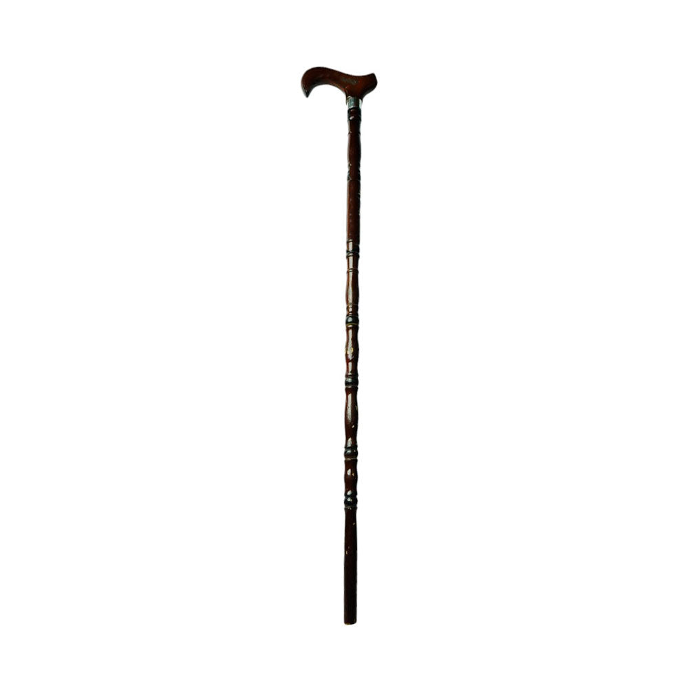 WALKING STICK IR GG2