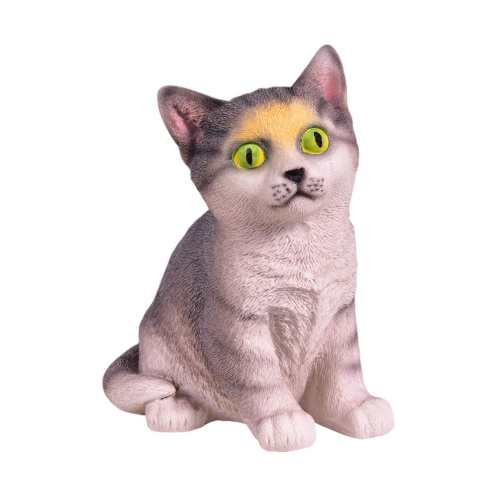CAT IR 0316