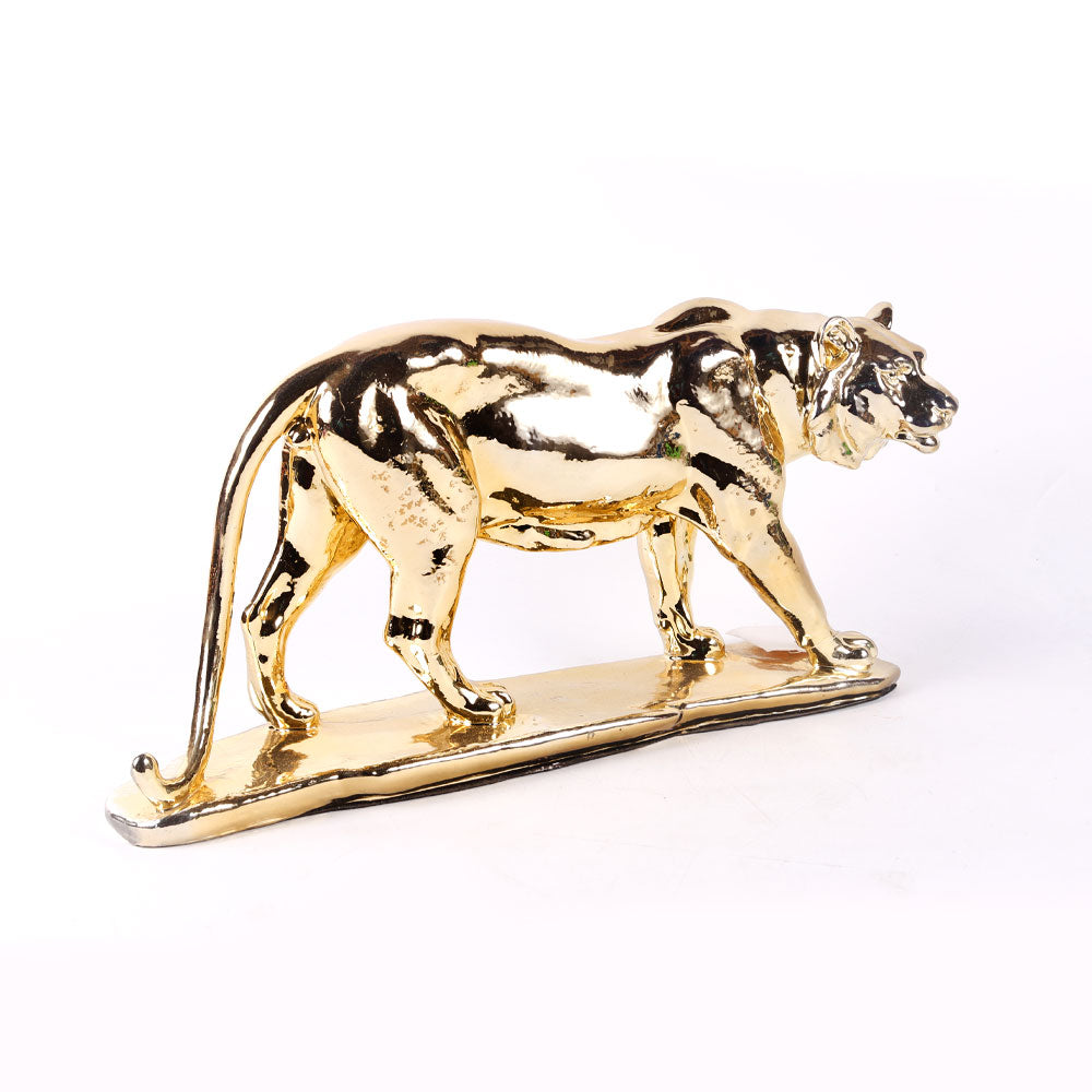 Lion Ir 169