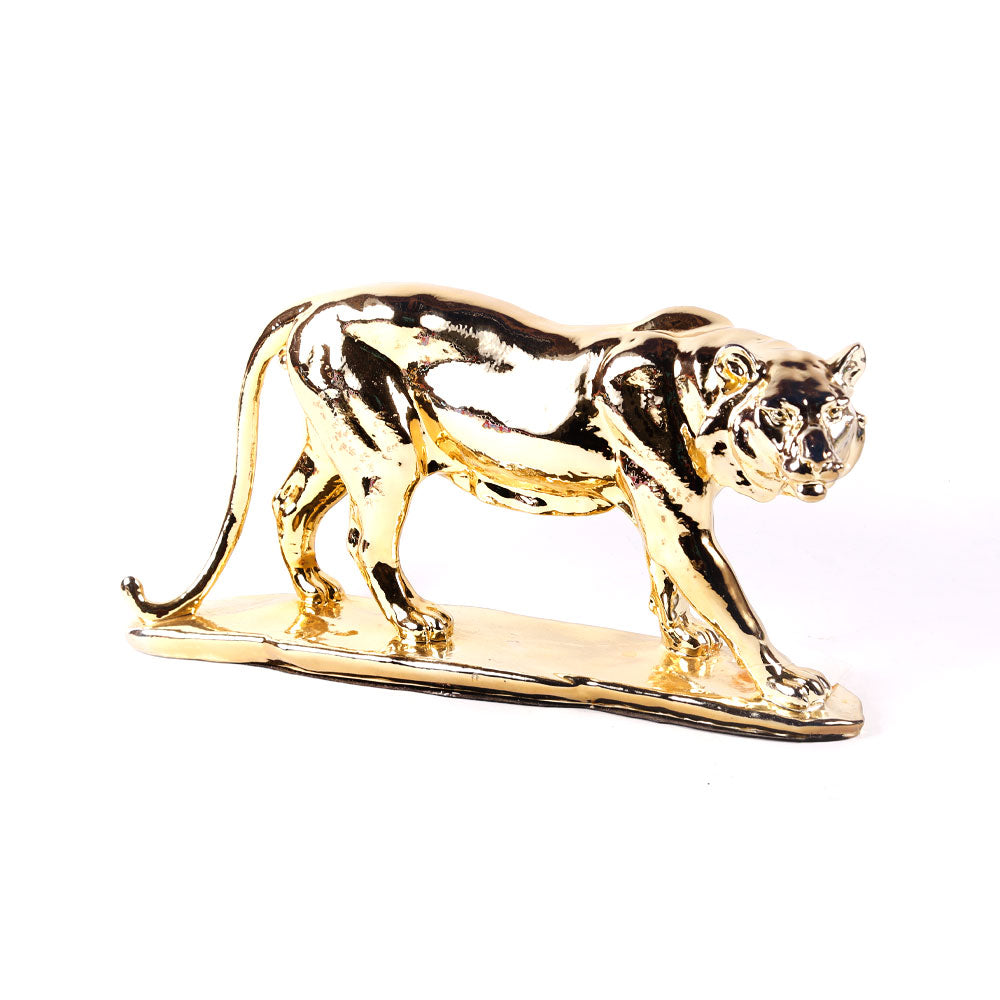Lion Ir 169