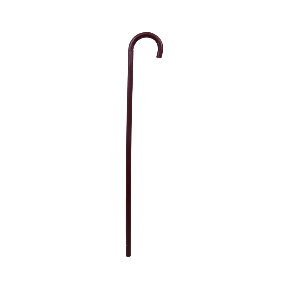 WALKING STICK IR 878 A13
