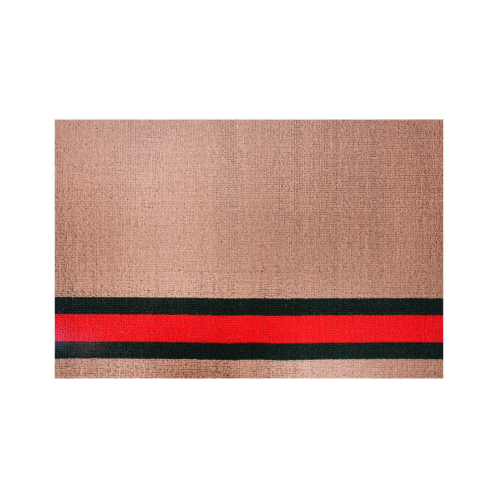 DOOR MAT IR 60X40 DT-91