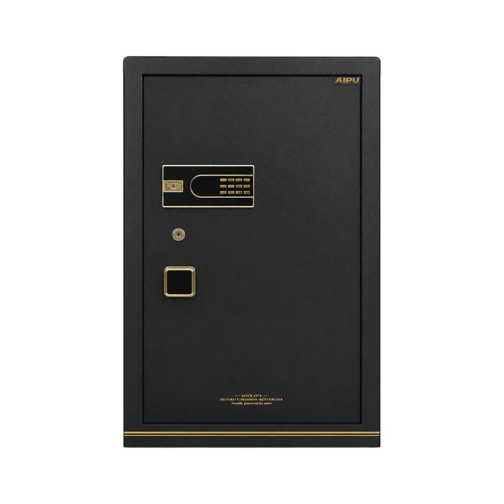 ELECTRIC SAFE IR BGX-5/D1-100SRN