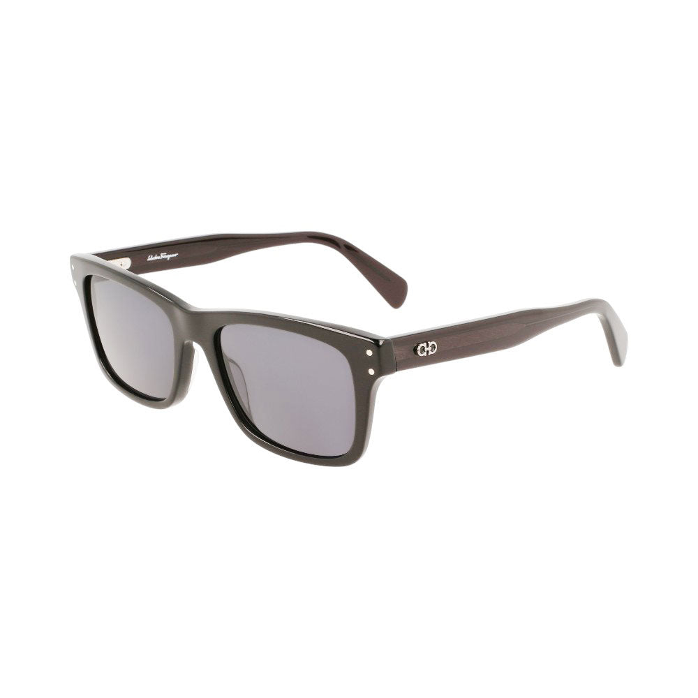 FERRAGAMO SUNGLASSES 1039S 001