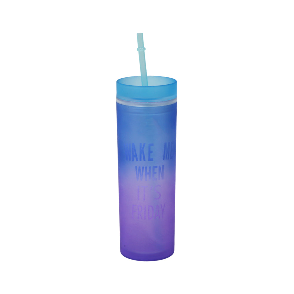 MUG WITH STRAW ACRYLIC 500ML IR JL50013