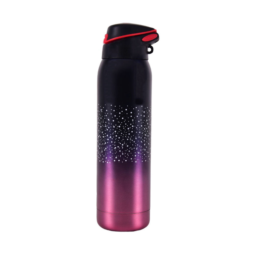 8208 SS WATER BOTTLE 500ML