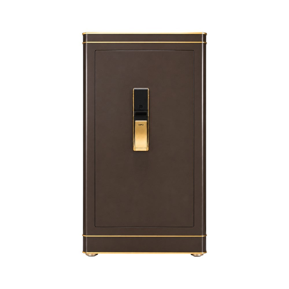 ELECTRIC SAFE IR FDG-115-X1/D120BN