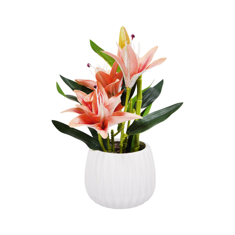 TABLE PLANT WITH POT 2750-7