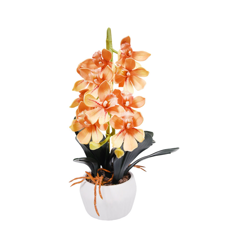 TABLE PLANT WITH POT 2750.22