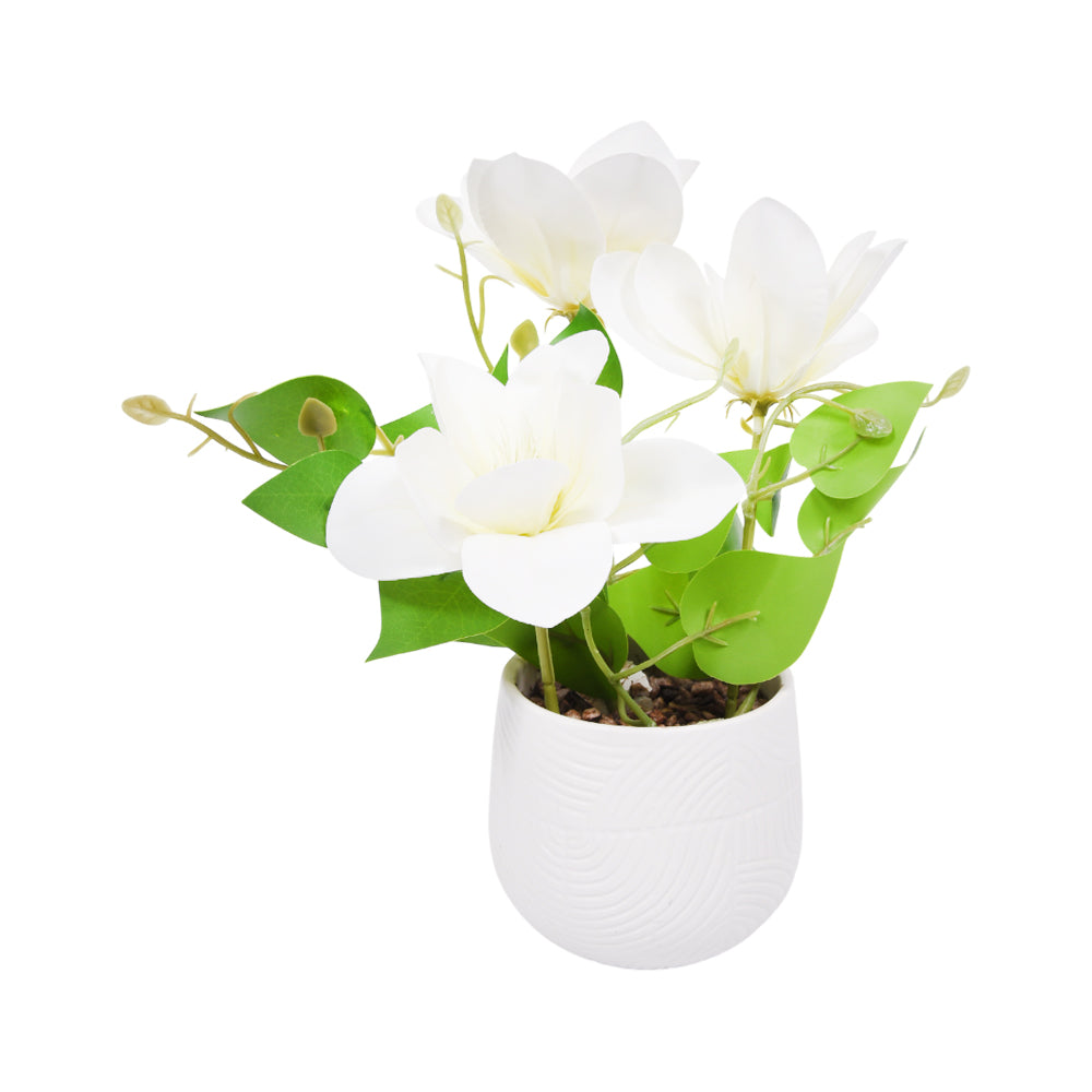 PLANT WITH POT 2721-9