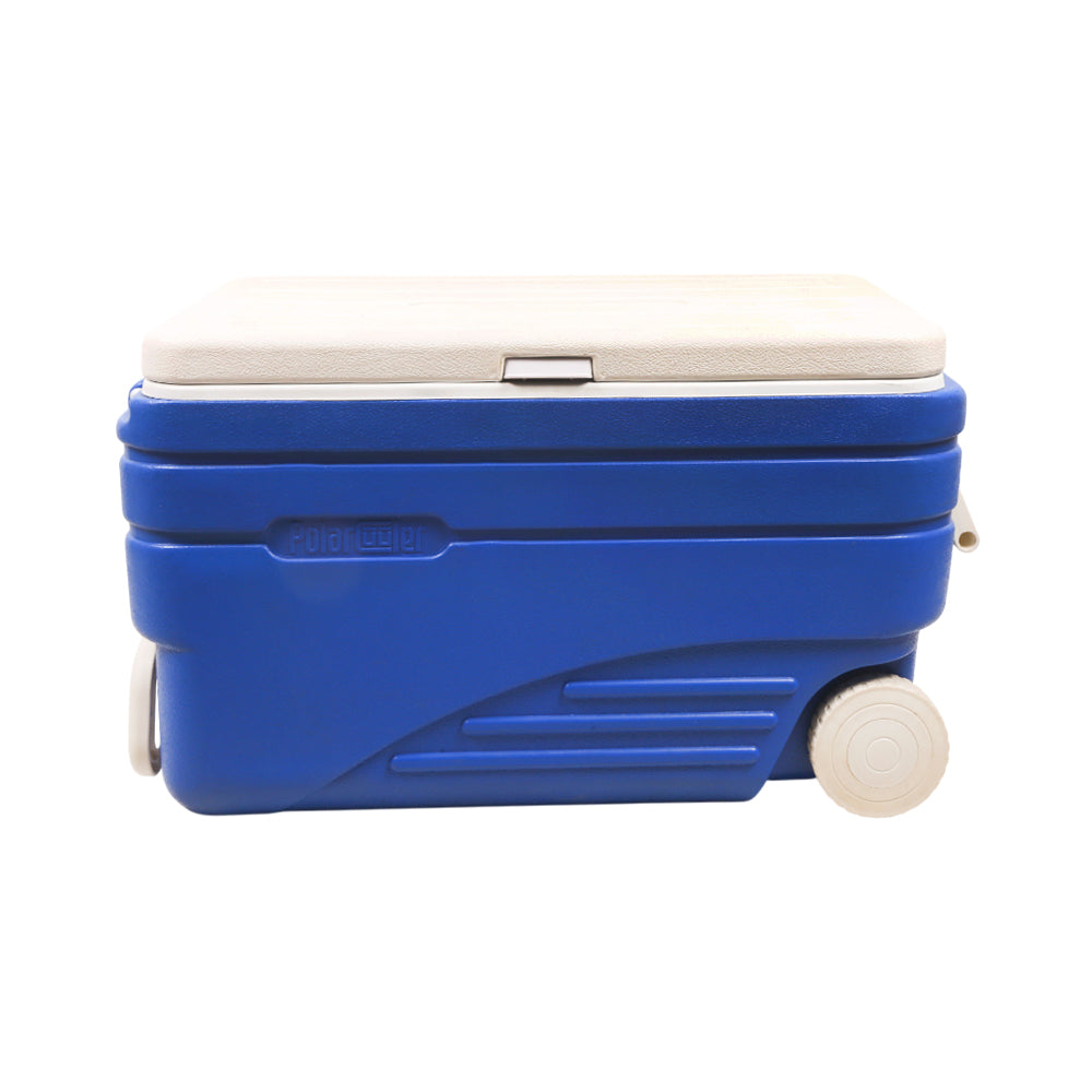 ICE BOX WOTION 98 LTR HS723A