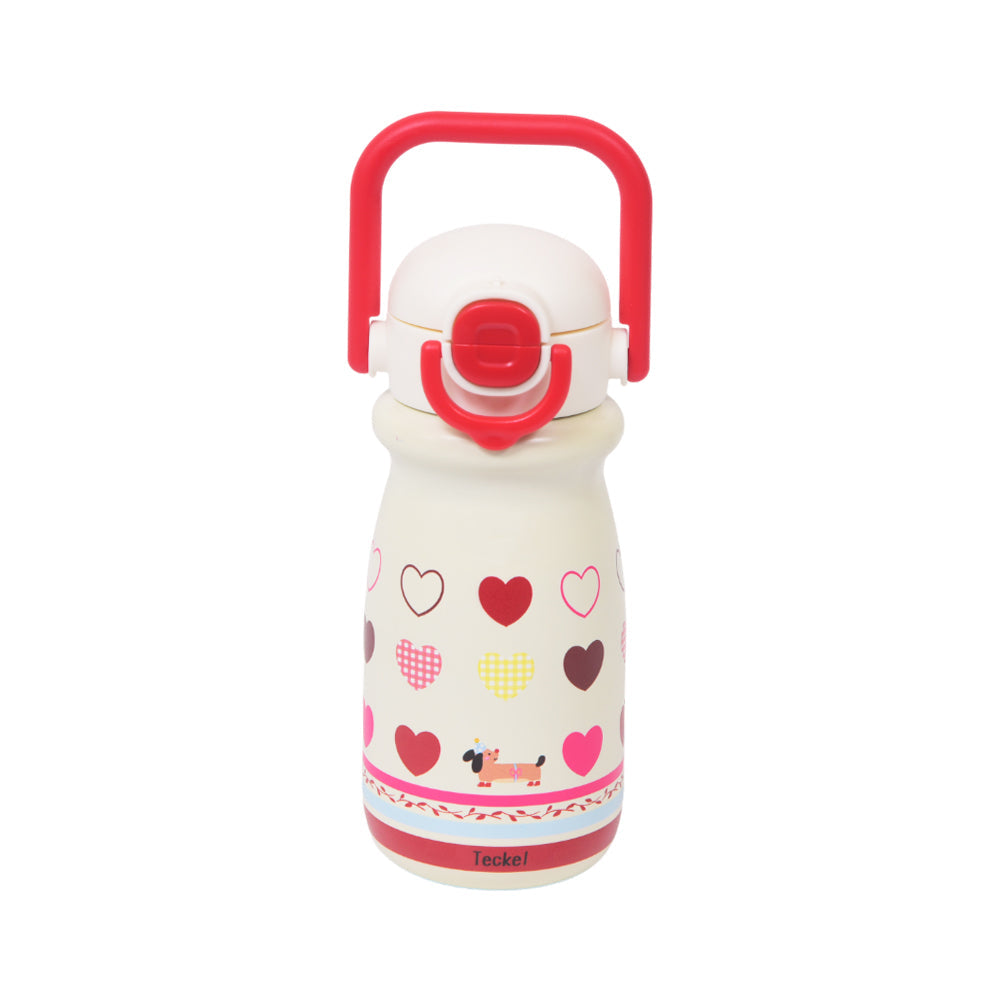 BOTTLE STEEL 500 ML IR H-BW-1501/W14
