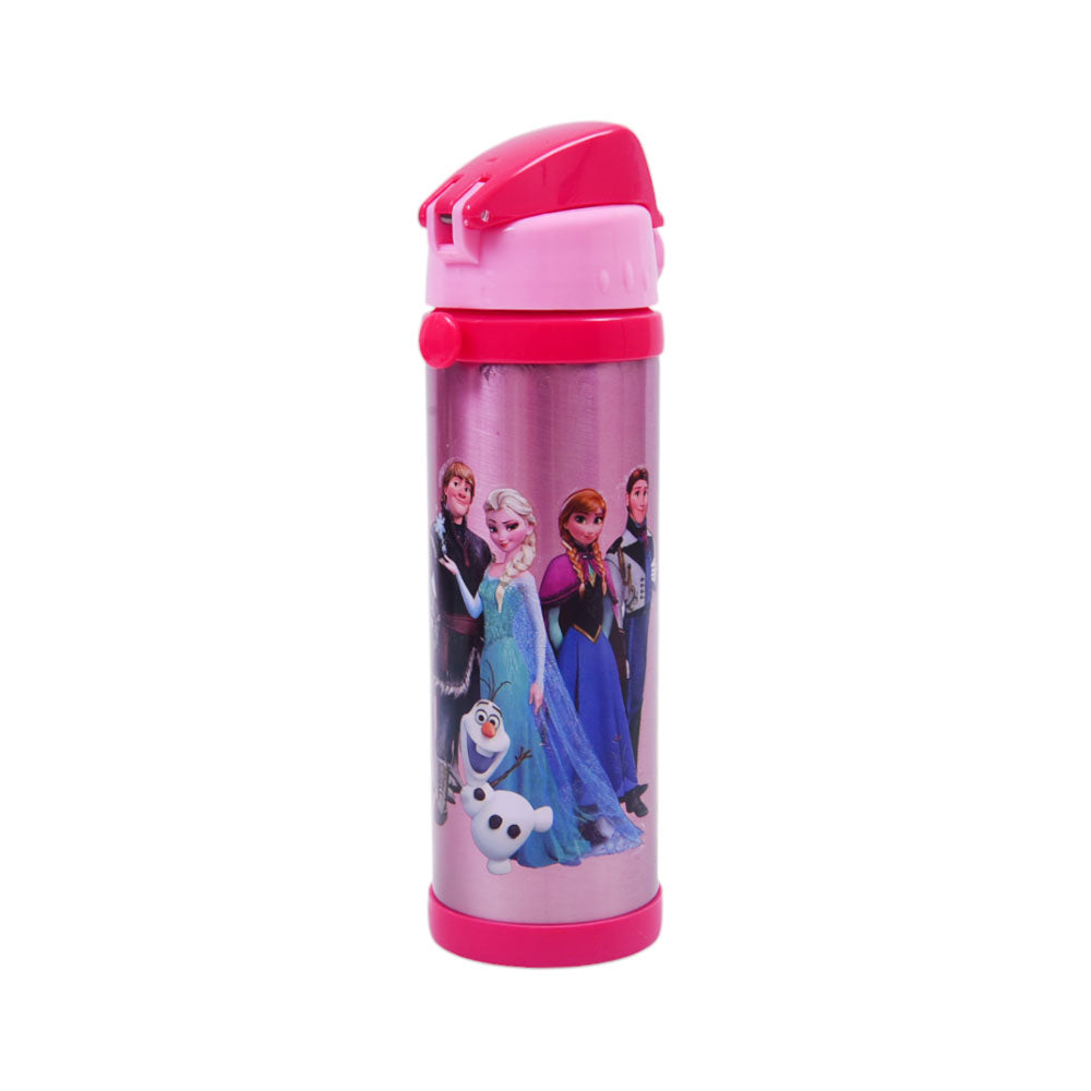 1107 SS WATER BOTTLE FROZEN 500ML