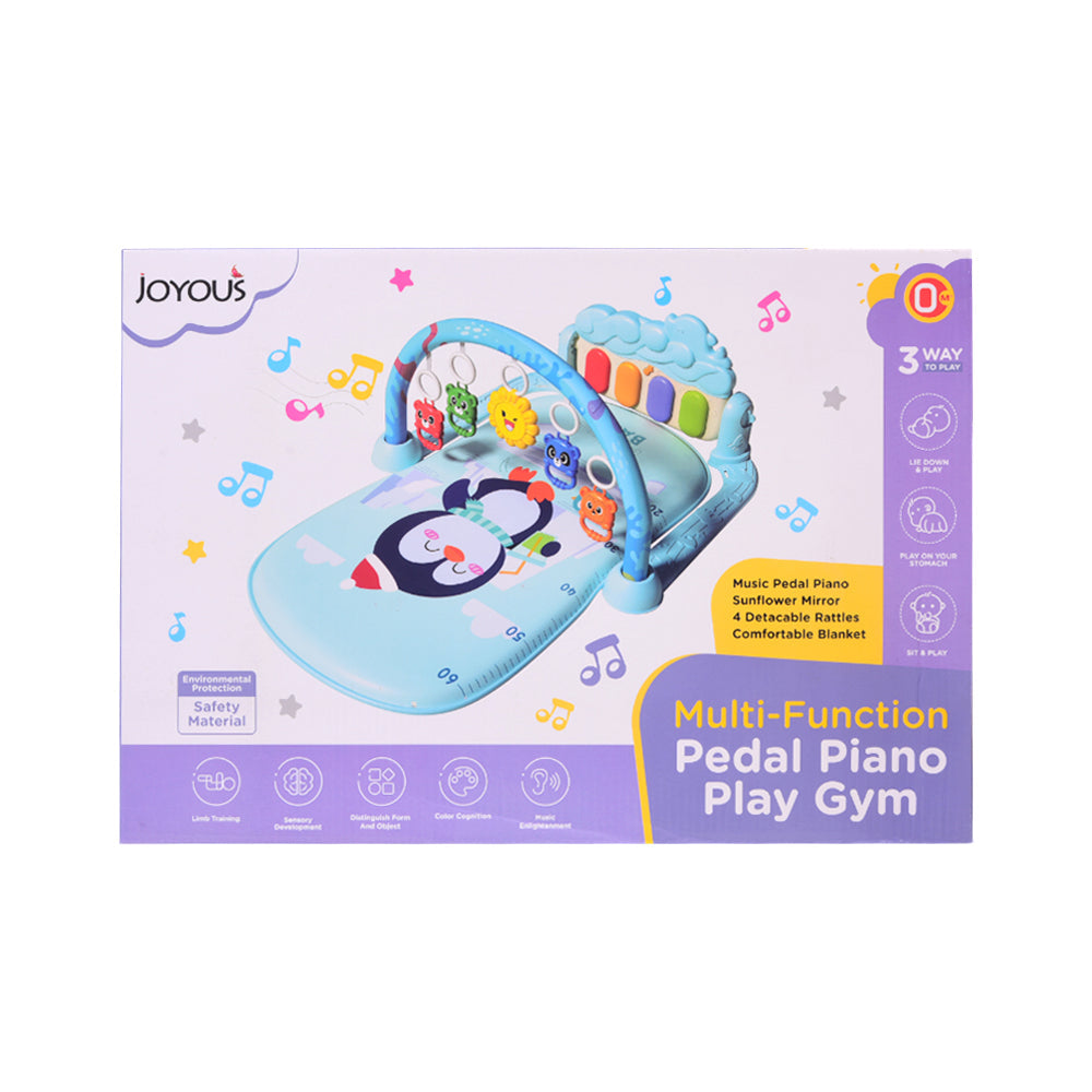 JOYOUS MULTI-FUNCTIONAL PLAYGYM JY-12