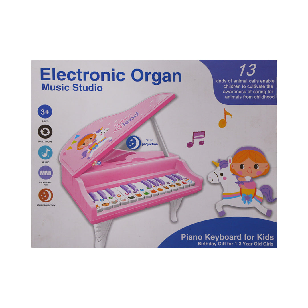 918-2 MUSICAL ELECTRONIC ORGAN A.I
