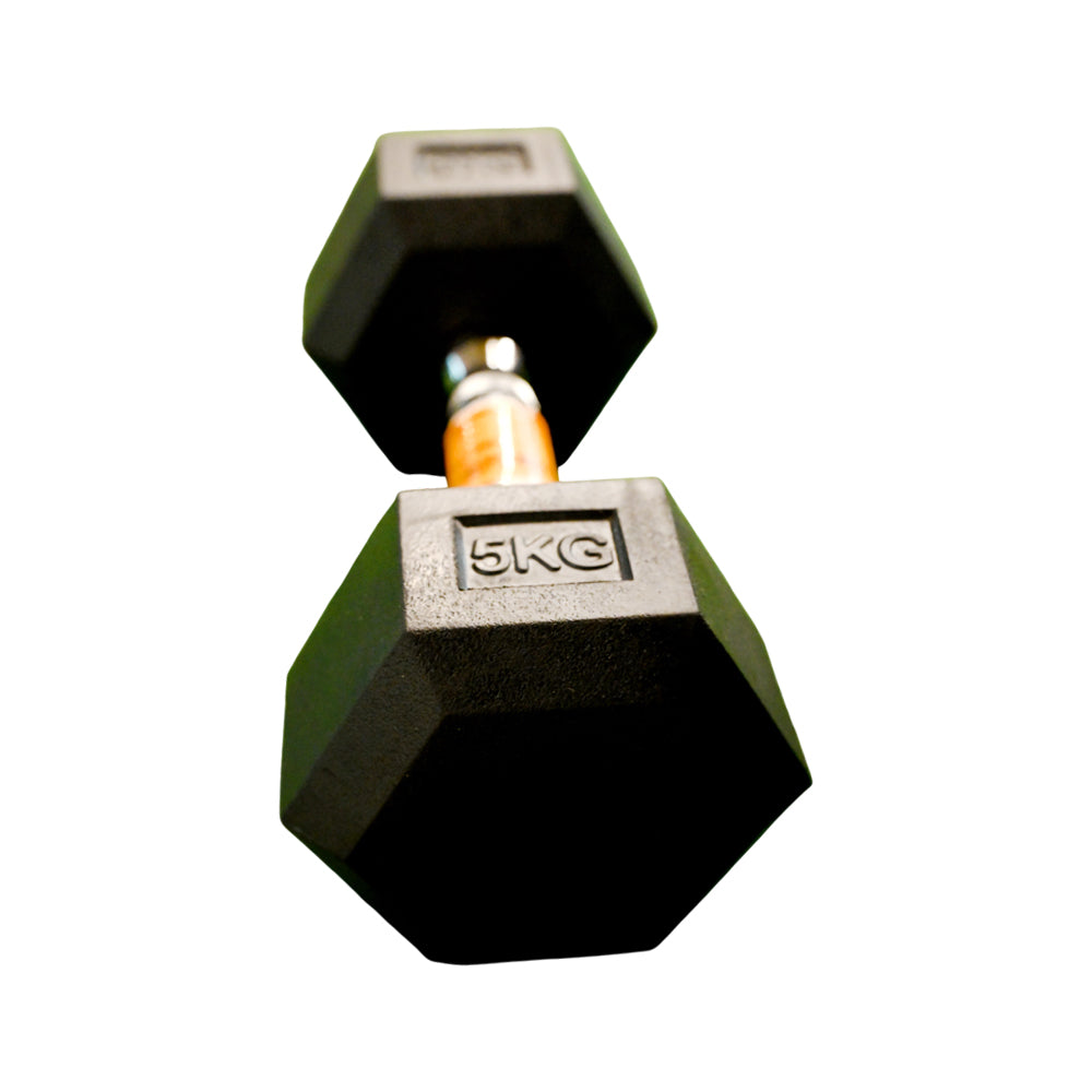 EXERCISE DUMBELL 5KG IR LM-4006