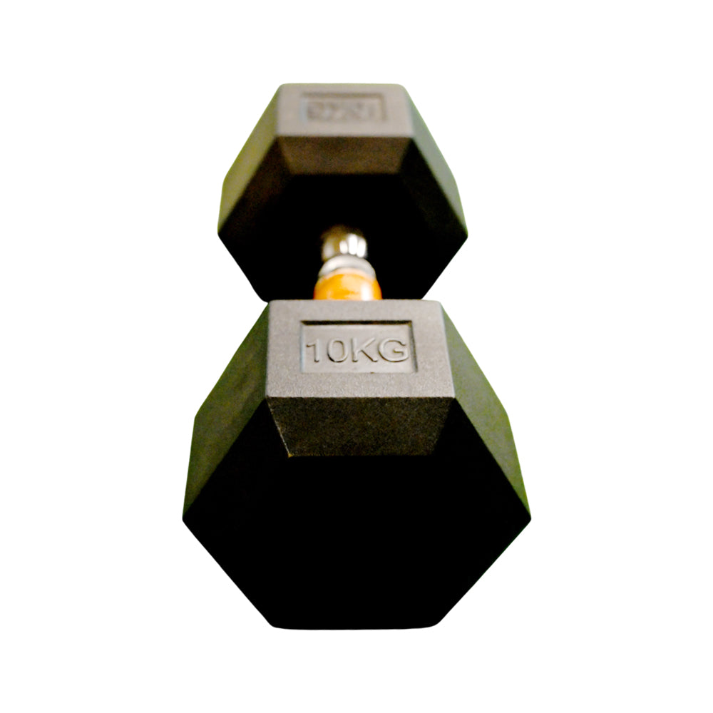 EXERCISE DUMBELL 10KG IR LM-4006