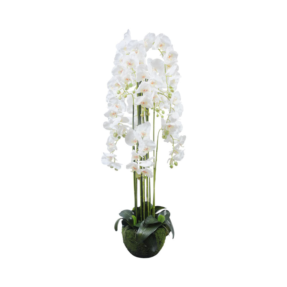 FLOWER PLANT MEDIUM 0243-11