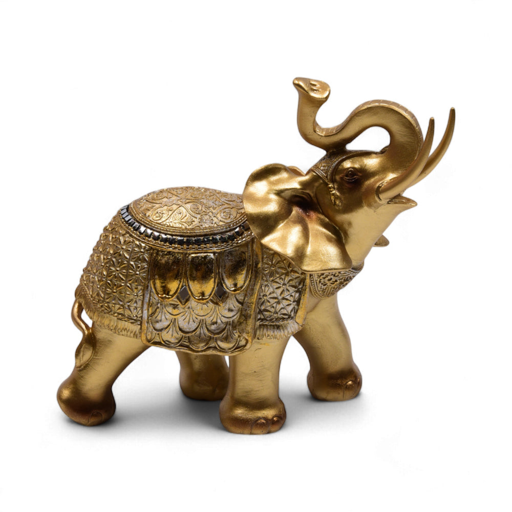 ELEPHANT IR 28125-6
