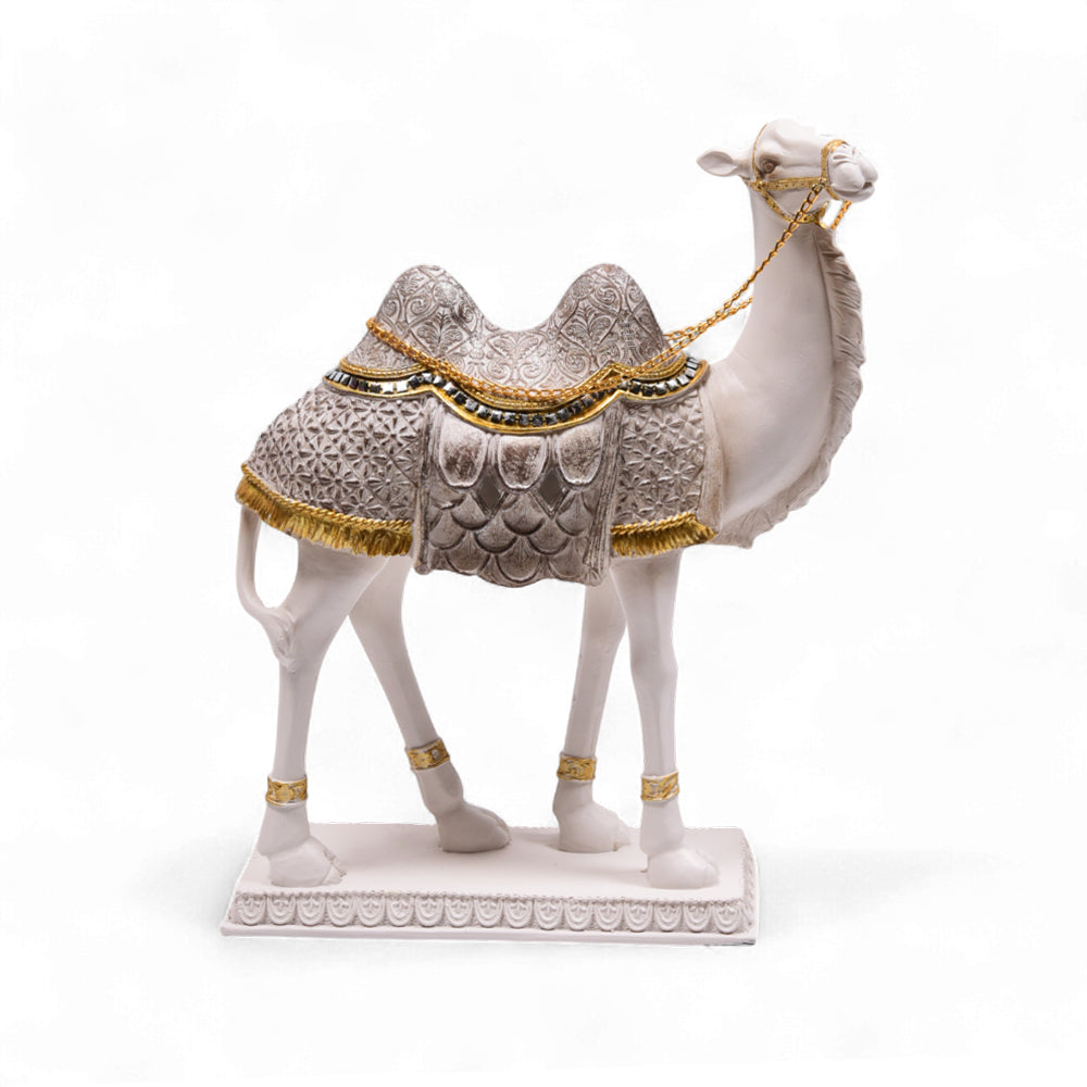 CAMEL IR 28140-6