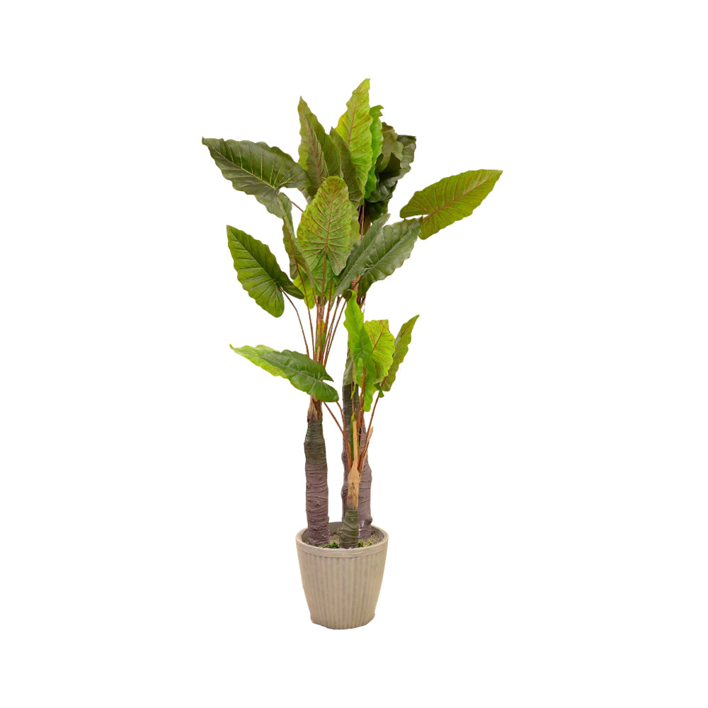 TREE WITH POT BSY-219