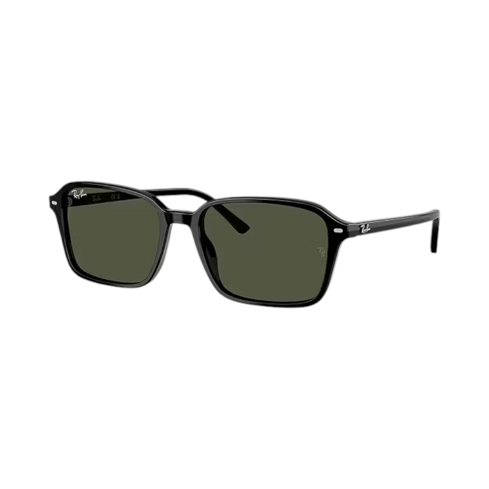 Rayban Sunglasses Rb2231-901/31-58