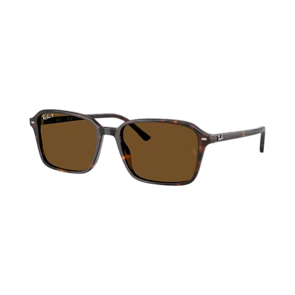 Rayban Sunglasses Rb2231-902/57-58