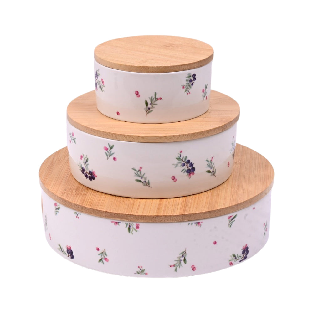 BOWL SET 3 PC WITH COVER HF56 HFE