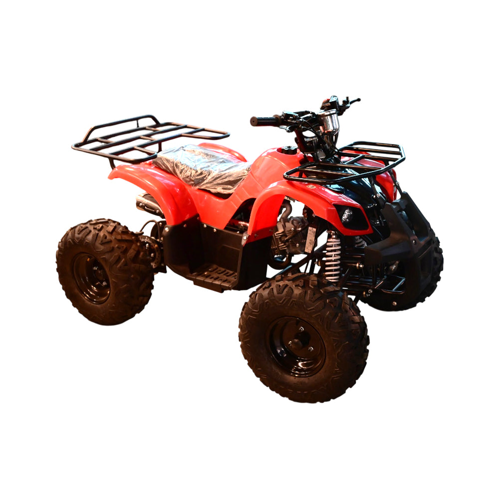 PETROL GEARED MOTORCYCLE 125CC IR WDL-2
