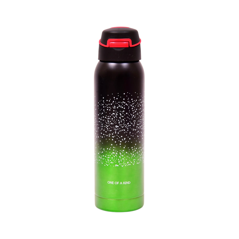 1114 SS WATER BOTTLE 2 COLOR 500ML S.T