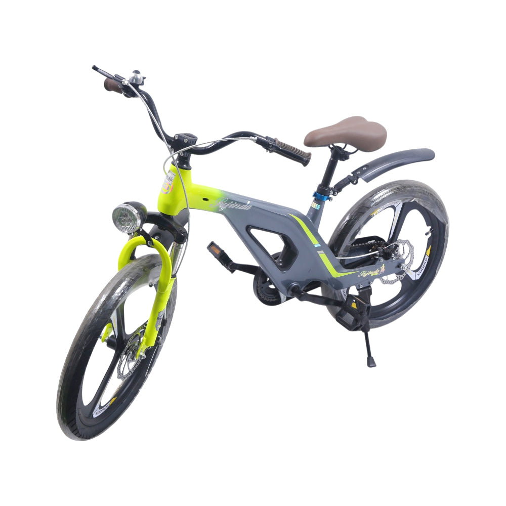 KIDS BICYCLE IR 20INCH XBW-888