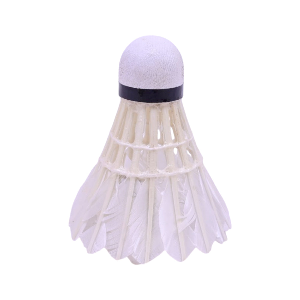 3366 BD SHUTTLE FEATHER WECAN GOLD K.K
