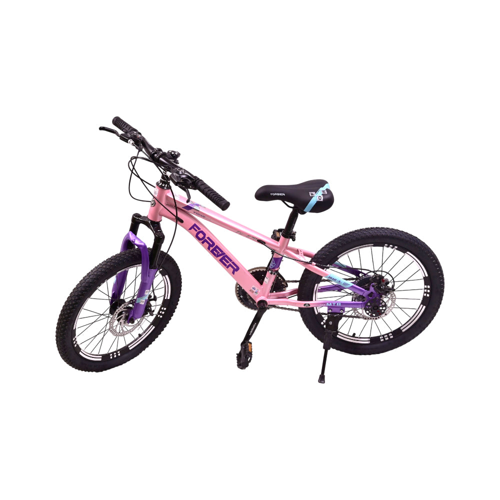 KIDS BICYCLE 20INCH IR T9