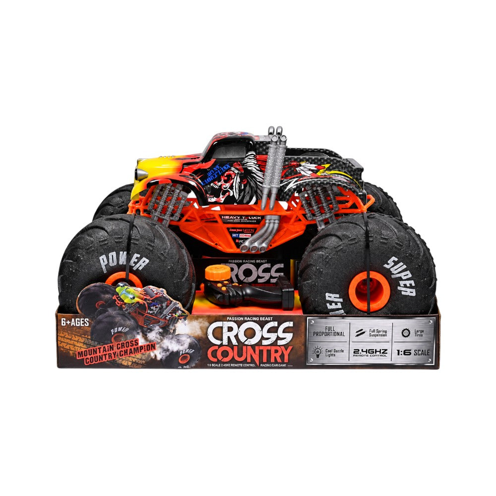 LQD09-2F CROSS COUNTRY MONSTER CAR R/C