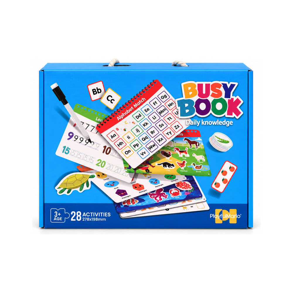 88988 BUSY BOOK DAILY KNOWLEDGE IR