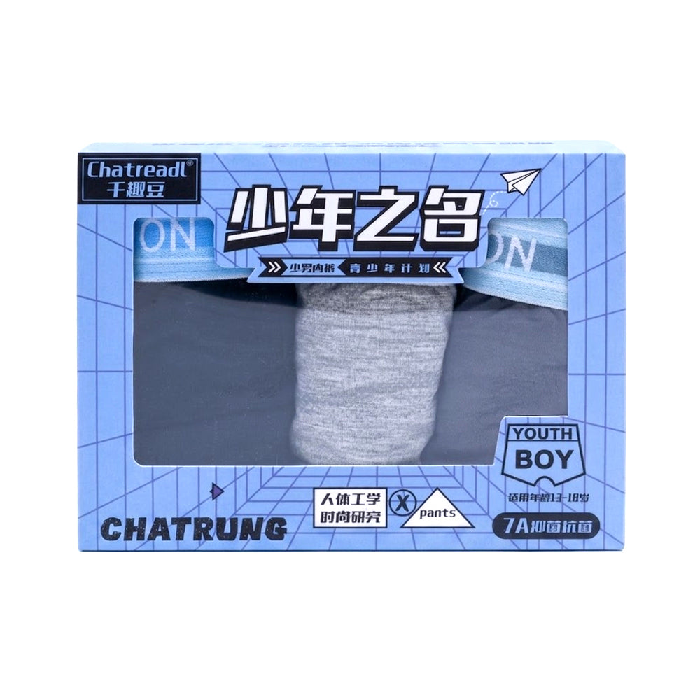 BOYS 3PC BOXER IN BOX MIX COL IRS-26 11-12 YEAR Q005