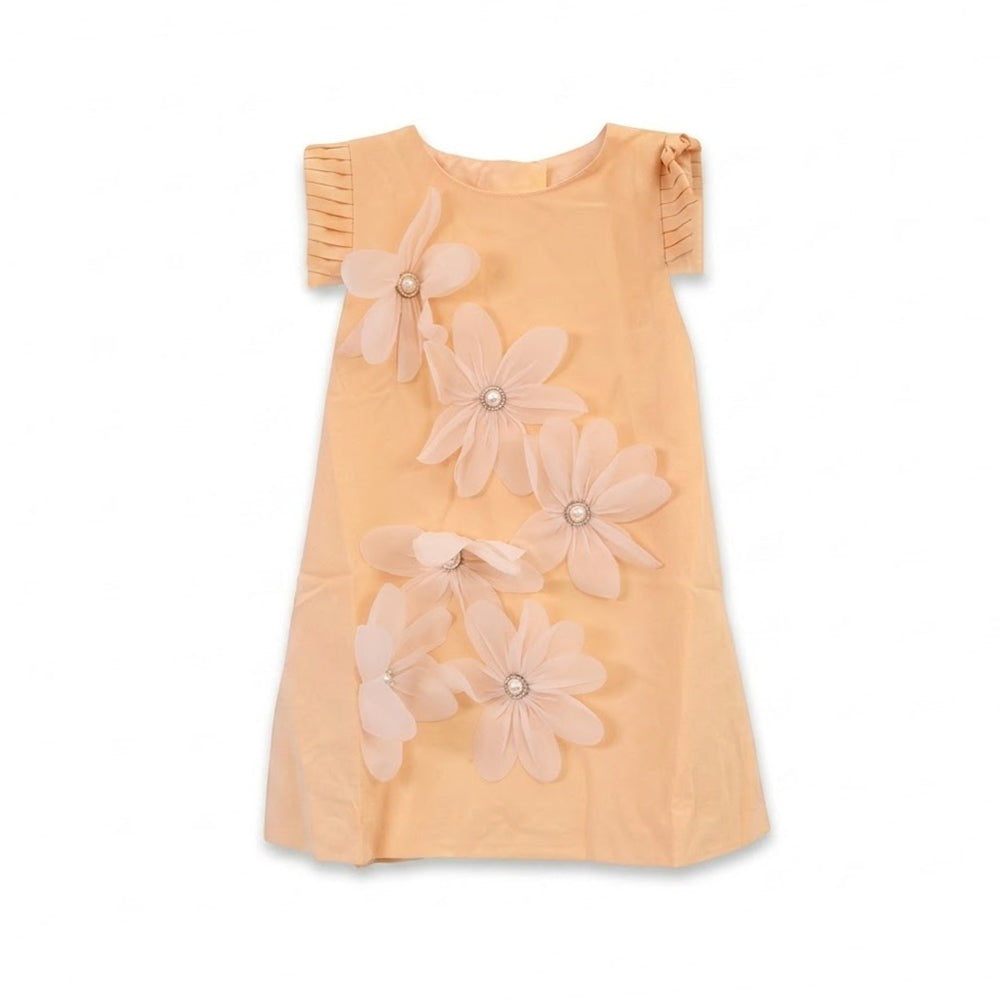 GIRLS S/S FANCY FROCK SKIN IR-26 2-3 YEAR S-24317