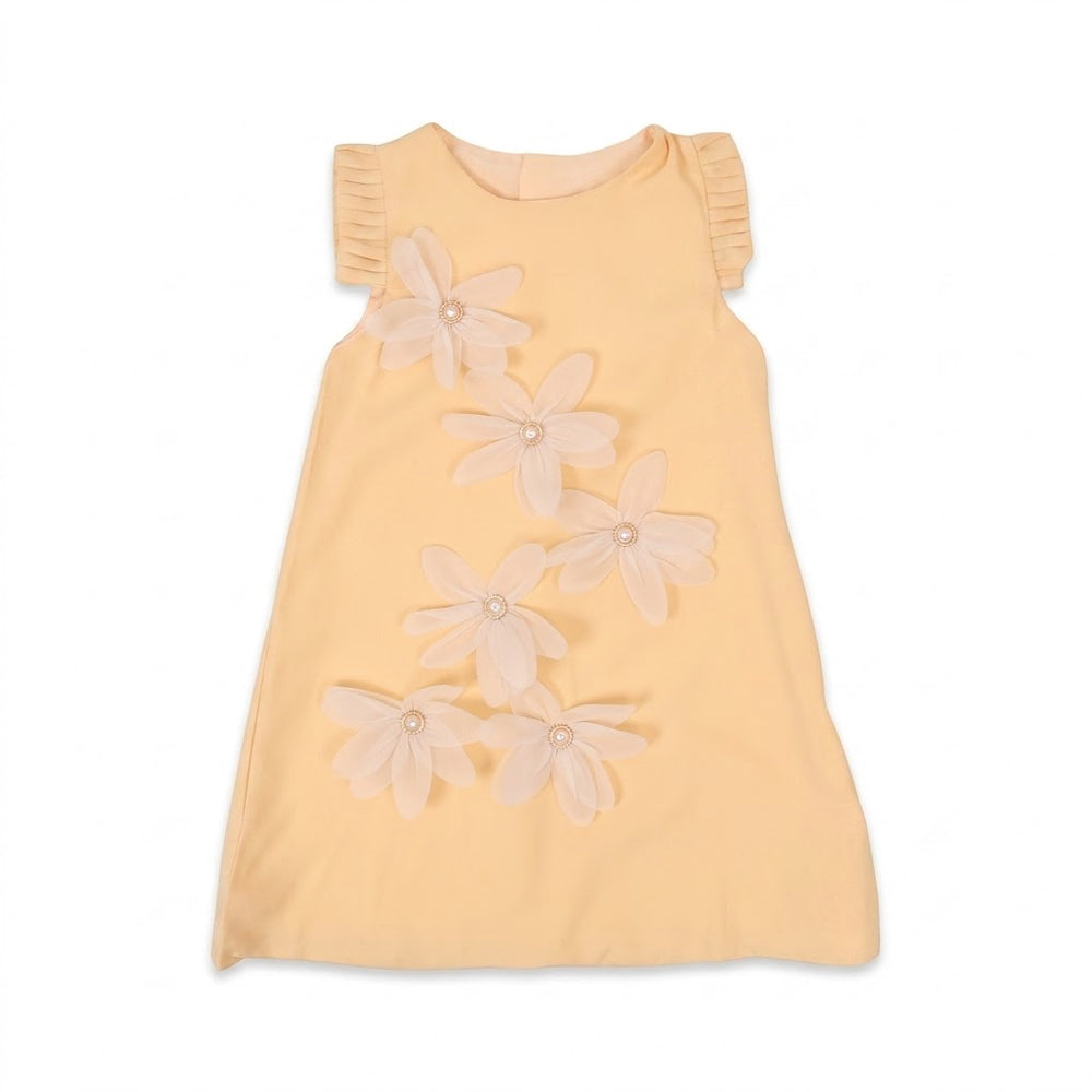 GIRLS S/S FANCY FROCK SKIN IR-26 5-6 YEAR S-24317