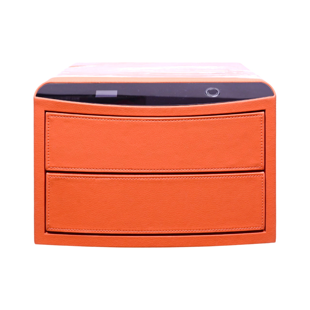 ELECTRIC SAFE IR 123-2