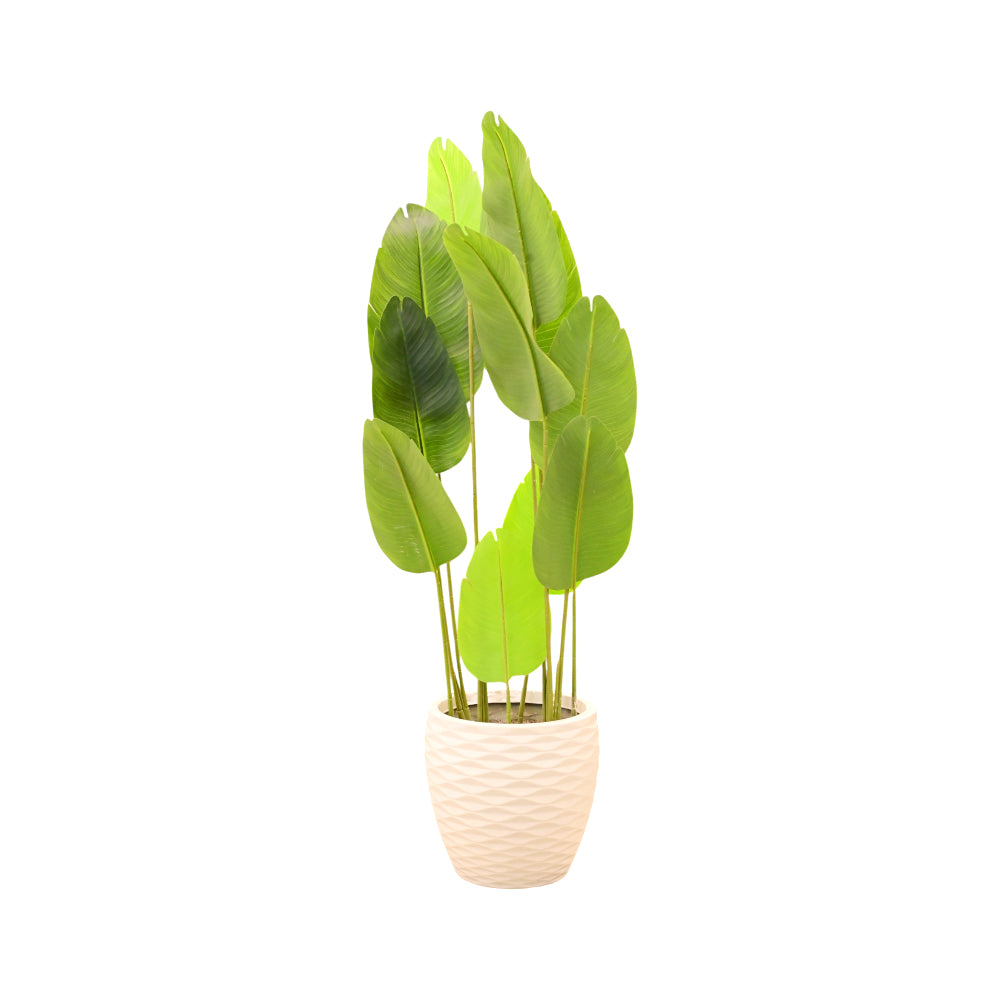 PLANT WITH POT 2233 I.M