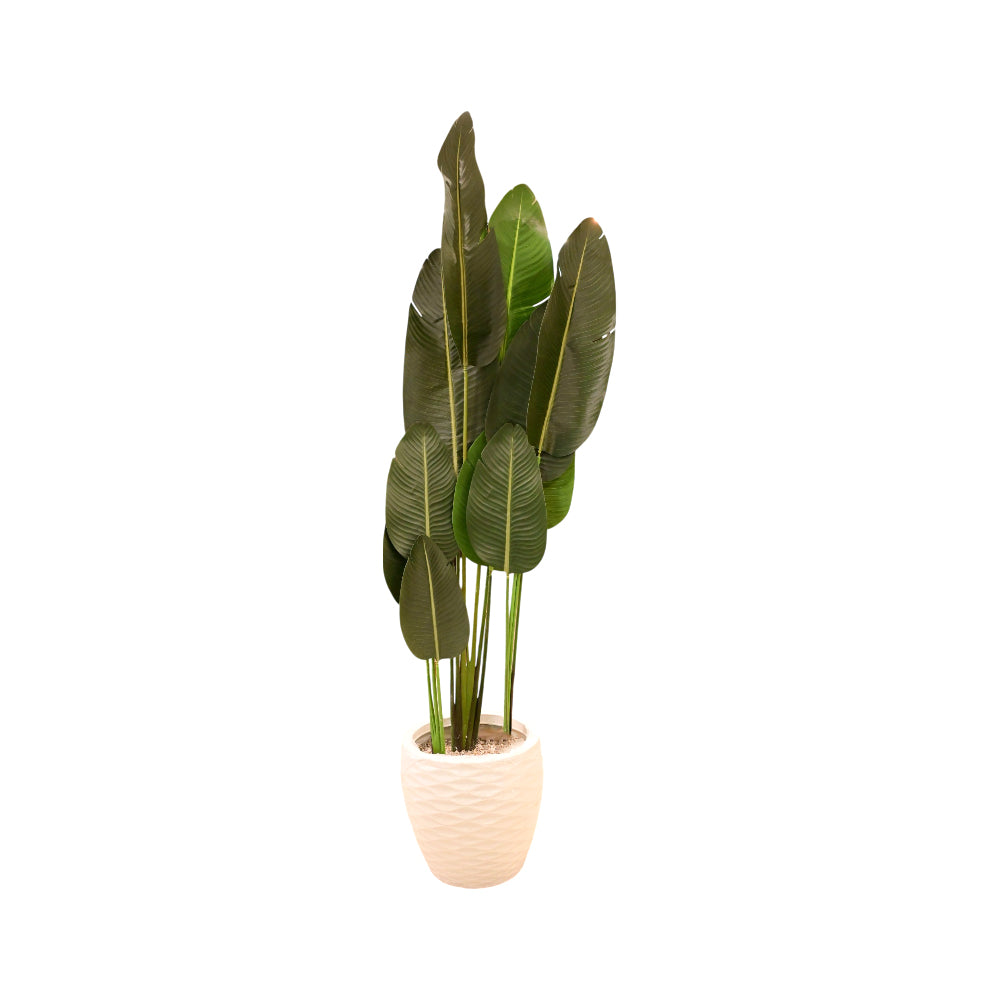 PLANT WITH POT WG032B I.M