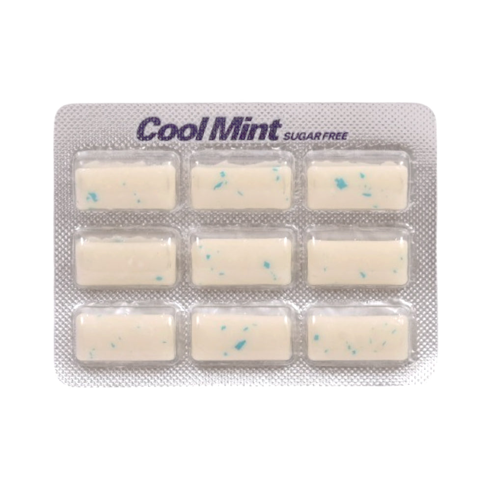 SWEETS HUB COOLMINT GUM PEPPERMINT 14 GM