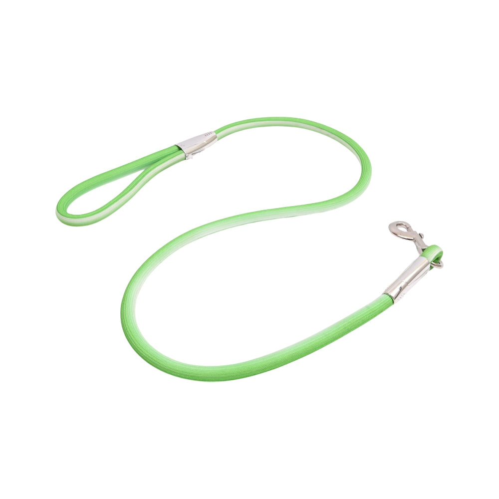 DURABLE BRAIDED PET LEASH LARGE IR