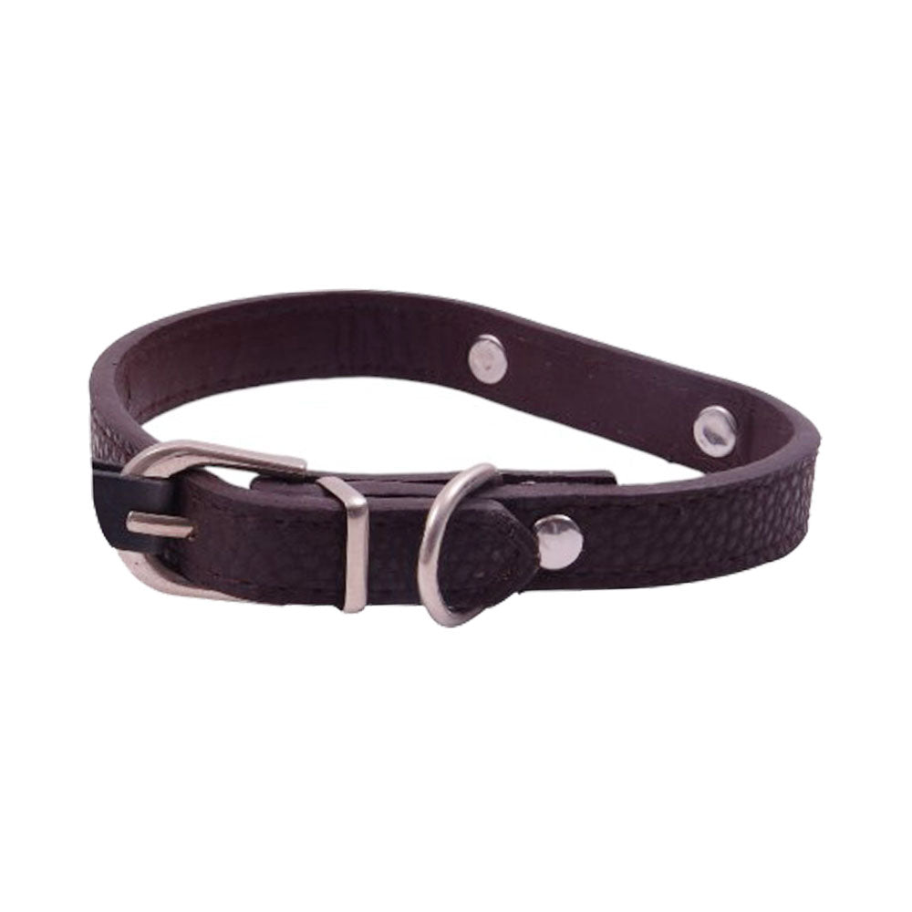PET LIVING DOG COLLAR 1.5 X 37 CM SMALL 6294