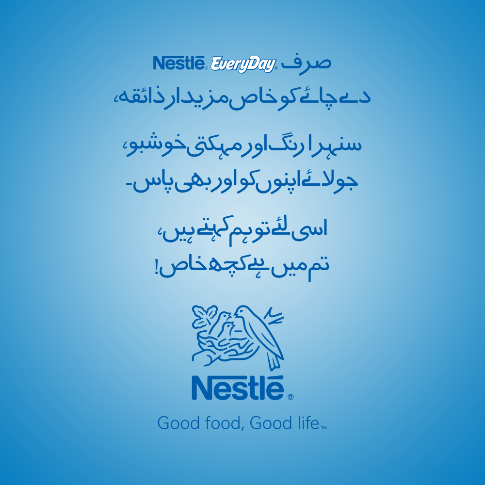 NESTLE EVERYDAY MILK POWDER POUCH 560 GM