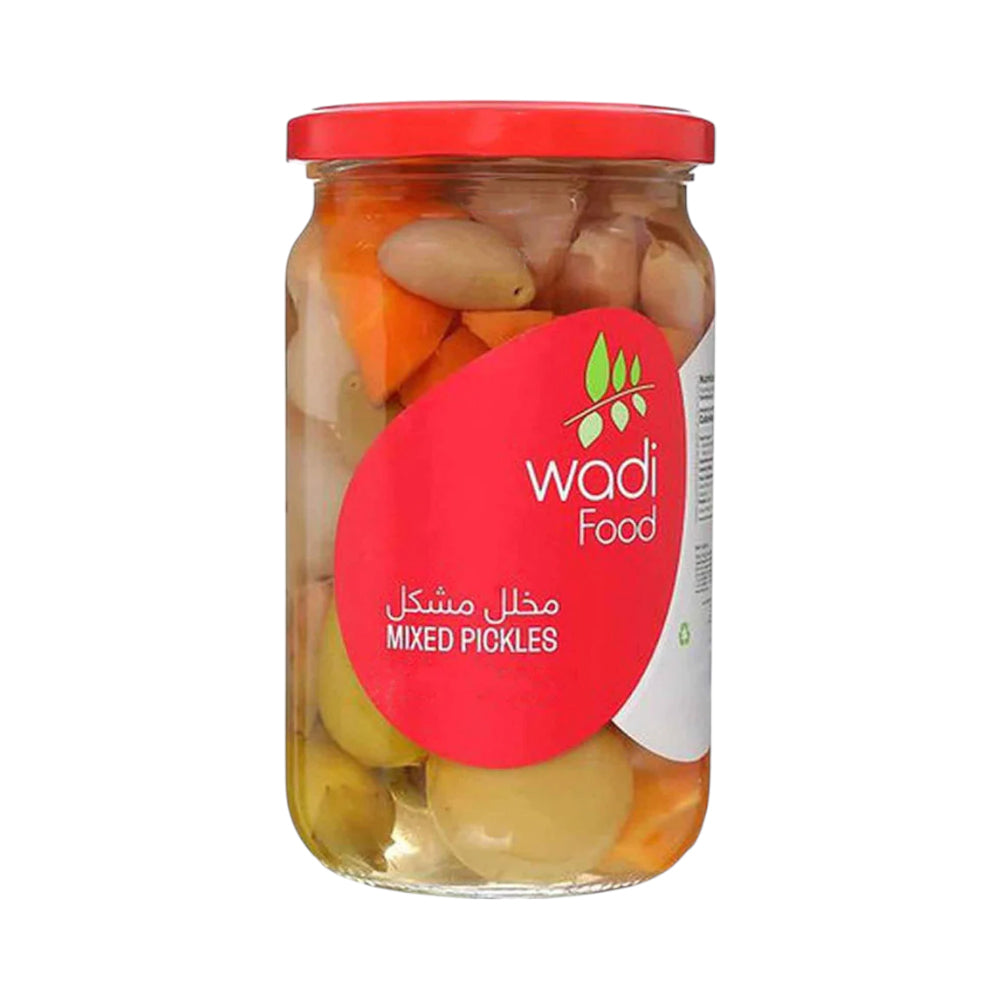 WADI FOOD MIXED PICKLE 650 GM