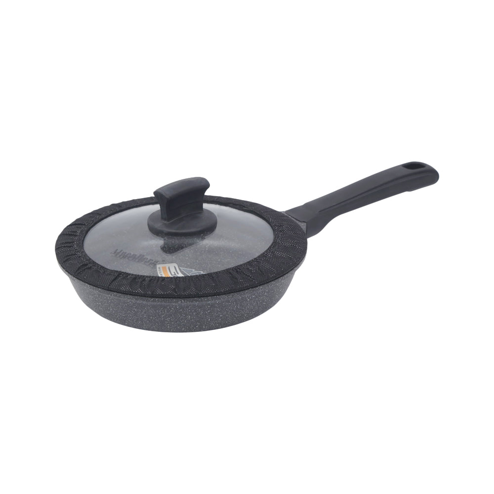 FRY PAN ALPEN BERG 22CM GV258