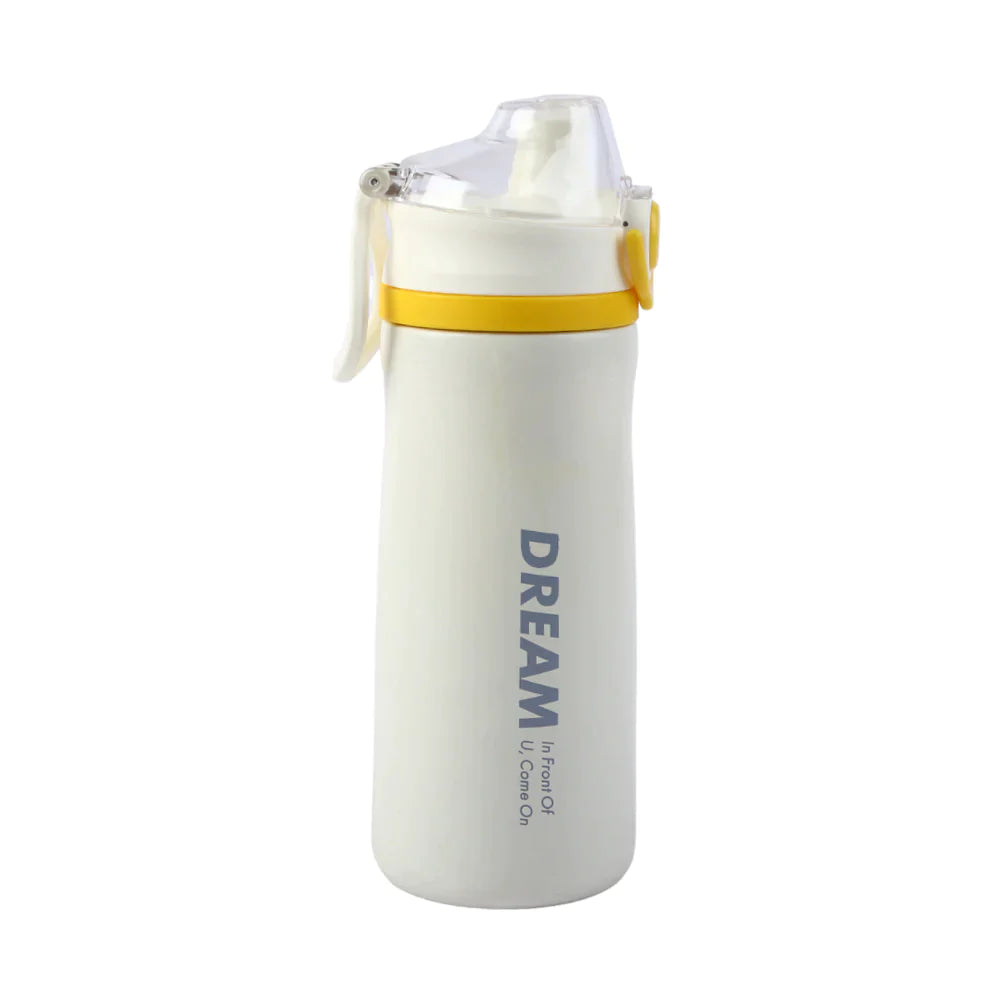 BOTTLE STEEL IR 500 ML FQ4108-1